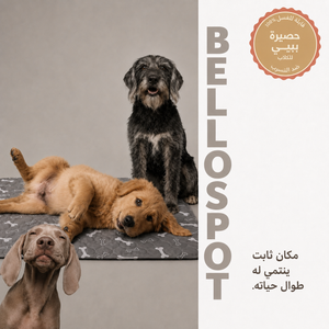 BelloSpot