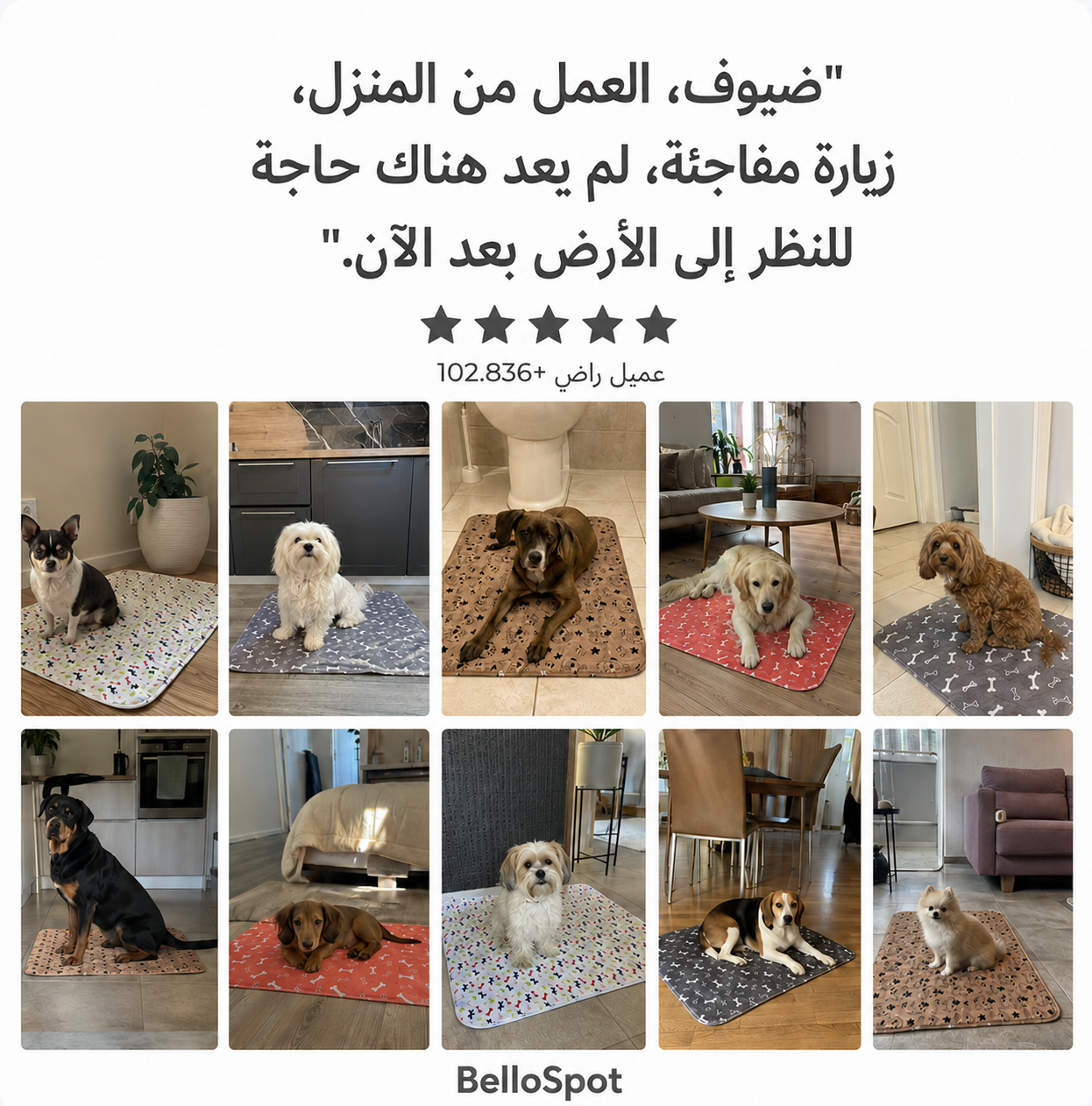 BelloSpot